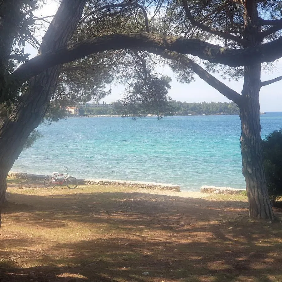 Vila Tena Rovinj Croatia