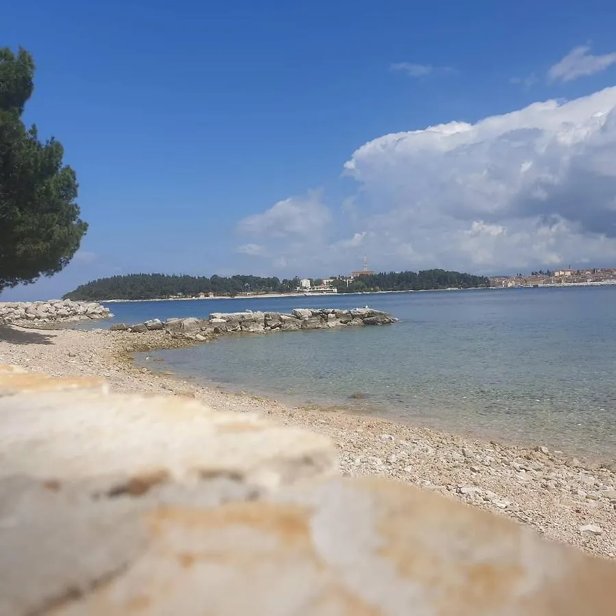Vila Tena Rovinj Croatia 克罗地亚